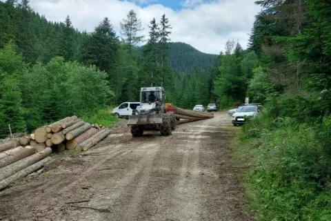 Vozniki motornih vozil lahko z nepravilnim parkiranjem ovirajo izvedbo gozdnih del. Primer je s Pokljuke 11. julija letos. / Foto: Zavod Za Gozdove Slovenije