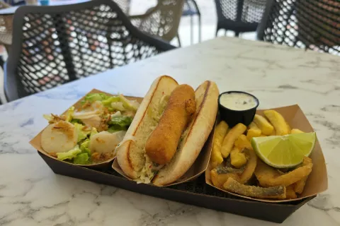  Tuhinjska ribica in krompirček, ribji hot dog ter solata tuhinjske postrvi. / Foto: Alenka Brun