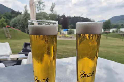 Pivo je bilo junija letos za 3,5 odstotka dražje kot pred letom dni. / Foto: Klara Mrak