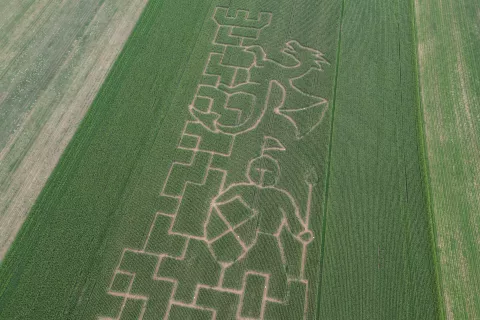 Koruzni labirint v Kranju je letos oblikovan v silhuete gradu, zmaja in viteza. / Foto: arhiv Koruzni labirint Kranj