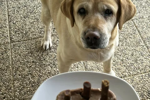 Luna z rojstnodnevno torto / Foto: Arhiv Družine Slapar