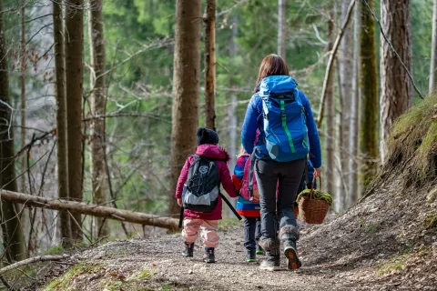 Natečaj vabi k ustvarjanju fotografij, ki odražajo lepoto in značaj lokalnih sprehajalnih poti. / Foto: Nik Bertoncelj