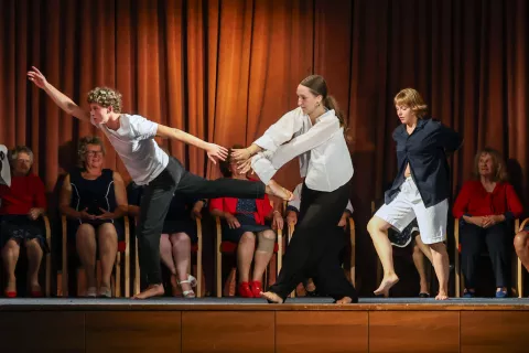 spoji sodobnega in ljudskega plesa Društvo plesalk v tretjem življenjskem obdobju dvorana Kulturni dom Križe / Foto: Tina Dokl