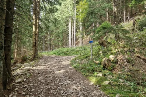 Svojci Dolfeta Vojska so postavili spominski smerokaz, ki kaže v smer, kjer se Vojskova pot dokončno odcepi od običajne poti proti Roblekovemu domu, a je očitno nekomu v napoto. / Foto: arhiv družine