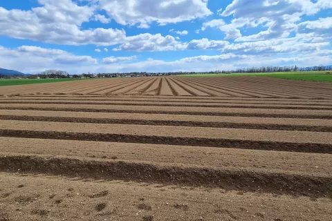 S spremembami zakona naj bi določili območja trajno varovanih kmetijskih zemljišč. / Foto: Cveto Zaplotnik