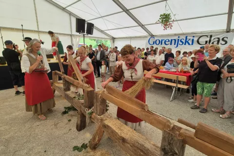 Dan teric 2025, Davča / Foto: Ana Šubic