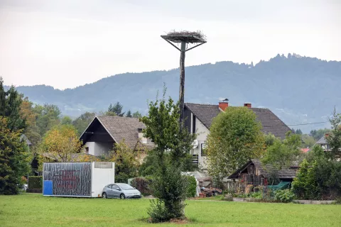 Novo gnezdilno platformo so postavili na kmetijsko zemljišče v lasti Rajka Rozmana. / Foto: Tina Dokl