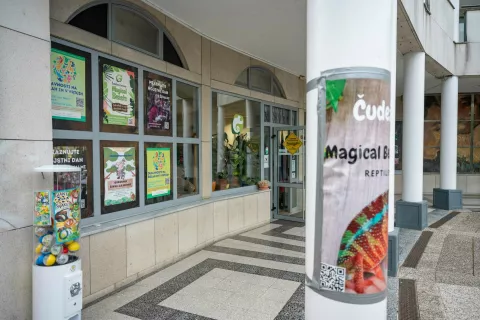 Zavetišče Čudežne zverinice je od konca lanskega leta delovalo v prostorih v Trgovskem centru Bled. / Foto: Nik Bertoncelj