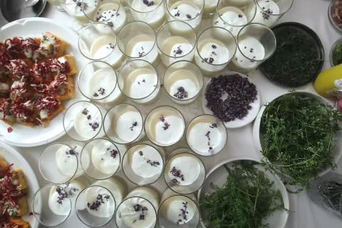 okrogla miza Lokalna pridelana hrana v javnih zavodih na Škofjeloškem dvorec Visoko zdrava prehrana osnovna šola srednja šola vrtec predstavitev stojnice lokalni kmetje kmetije mleko jogurt zelenjava razvojna agencija Sora / Foto: Gorazd Kavčič