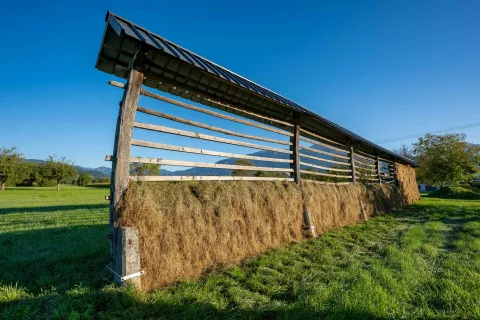 Simbolična fotografija Gorenjska pokrajinaKozolec in seno Koritno občina Bled / Foto: Nik Bertoncelj