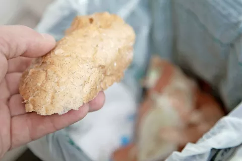 Povprečno slovensko gospodinjstvo vsak teden zavrže nekaj več kot dva kilograma hrane, od tega skoraj kilogram še povsem užitne. Fotografija je simbolična. / Foto: arhiv Gorenjskega glasa