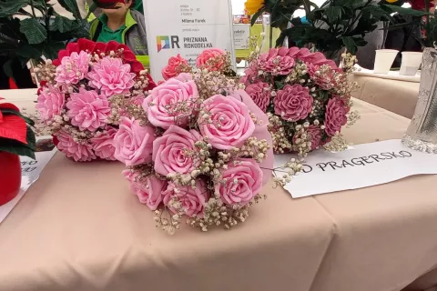 cvetoča jesen / Foto: Arhiv Organizatorja