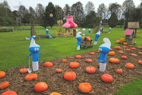 smrkci, vas, buče, volčji potok, 2025 / Foto: Alenka Brun