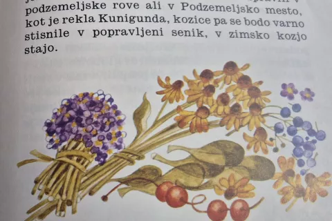 Občina Škofja Loka objavlja natečaj