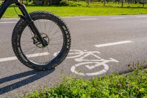 Simbolična fotografija rekreacijsko kolesarjenje Radovljica / Foto: Nik Bertoncelj