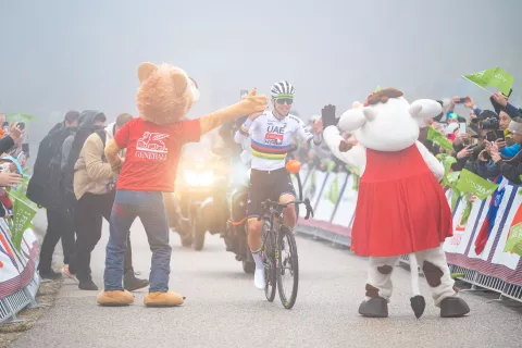 S klanca v klanc Pogi Challange 2025 kolesarska tekmaTadej Pogačar kolesar / Foto: Nik Bertoncelj