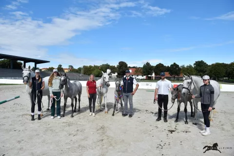 Najlepše žrebičke so iz Peternelovega hleva