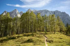 Simbolična fotografija občina Kranjska Gora. / Foto: Nik Bertoncelj