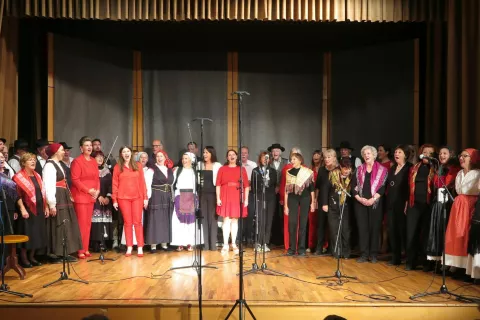 Nastopajoči in poslušalci v dvorani so koncert zaključili s skupno pesmijo / Foto: Igor Kavčič
