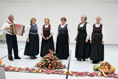 večer ljudskih pevcev in godcev Duplica občina Kamnik na fotografiji ljudske pevke Predice / Foto: Tina Dokl