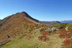 Grebenska pot po kateri smo prišli in pred seboj zagledali Seetalernock in Goldeck. / Foto: Jelena Justin