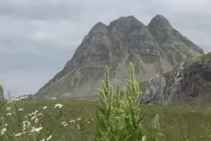 Lukavica z goro Mali Žurim v ozadju / Foto: Andrej Primc