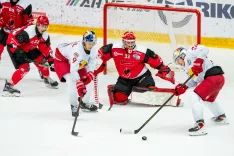Hokejska tekma HDD Jesenice proti EC Red Bull Salzburg / Foto: Nik Bertoncelj