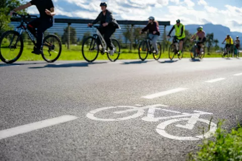 Simbolična fotografija rekreacijsko kolesarjenje Radovljica / Foto: Nik Bertoncelj