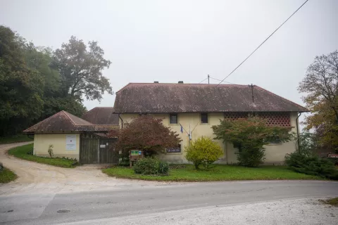 Konji za zdaj ostajajo doma