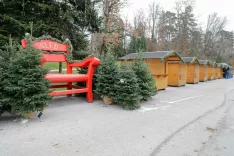 Pravljična zima na Bledu