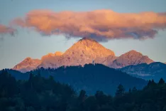 Zbiranje podpisov za nov državni praznik