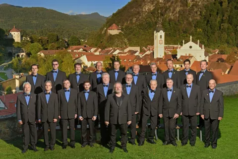 Lira kamnik / Foto: Arhiv Društva 