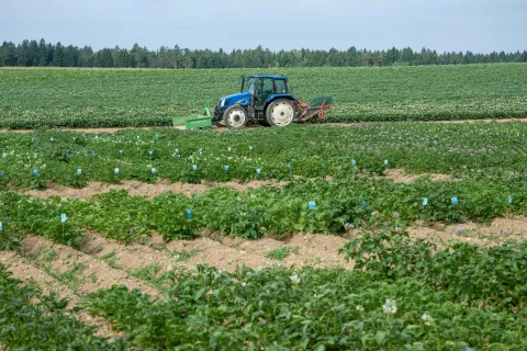 Dan krompirja v Lahovčah, Kmetijski inštitut Slovenije / Foto: Primož Pičulin