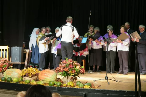 Smleški žarek / Foto: Ana Jagodic Dolžan