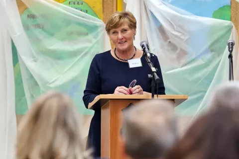 Za ljubezen do domovine