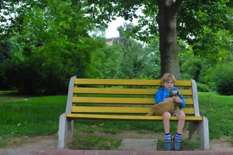 Fotografija je simbolična. / Foto: Pixabay