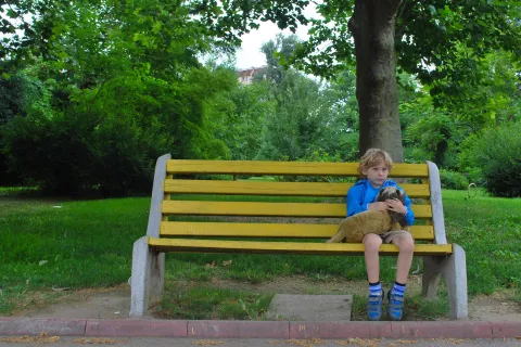 Fotografija je simbolična. / Foto: Pixabay