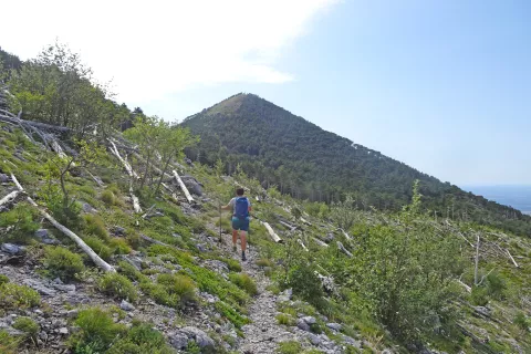 Razgled na vr&scaron;ni, strm vzpon na Golić. / Foto: Jelena Justin