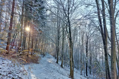 Konec meseca novembra je bila pot na Tromejnik prijetno zimska. / Foto: Jelena Justin