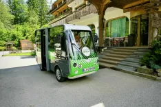 I&scaron;čejo imeni za blejska minibusa