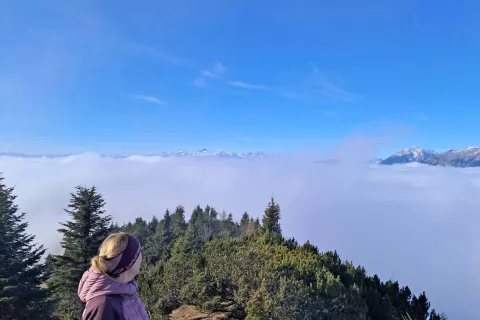 Stati nad meglo in si vzeti čas za pogled. V ozadju Triglav. / Foto: Mojca Logar