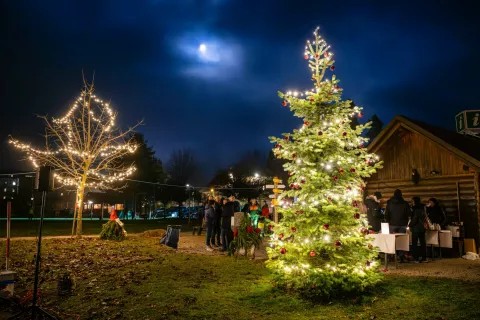 Prižig lučk Begunje na Gorenjskem in postavitev jaslic avtorja Mohorja Kejžarja / Foto: Nik Bertoncelj
