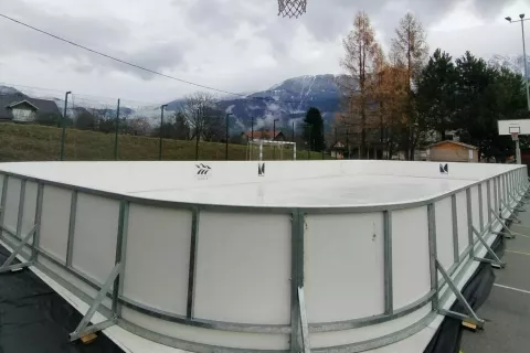 drsali&scaron;če blejska dobrava / Foto: Arhiv Zavoda Za &scaron;port Jesenice