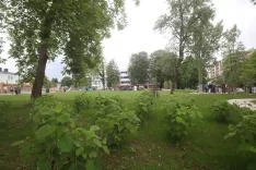 Koliko delcev PM10 ujamejo kranjski parki