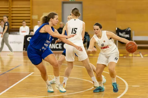 Domel - Triglav / Foto: Peter Ko&scaron;enina