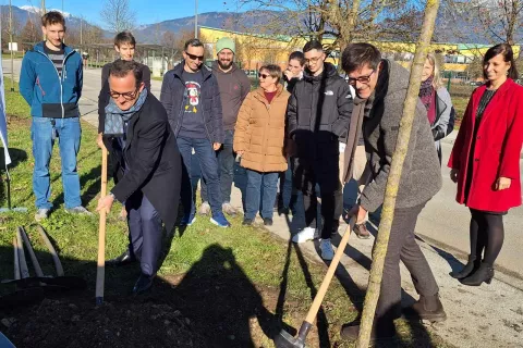 Novi drevored v Kranju, darilo podjetja Iskraemeco / Foto: Mok