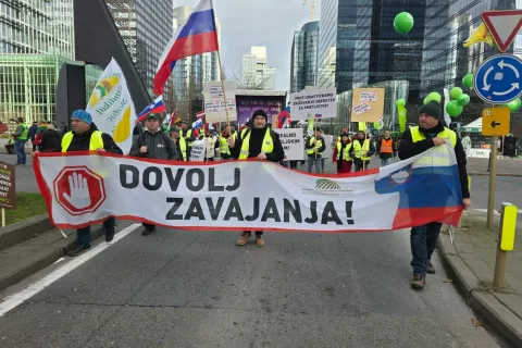 Slovenski protestniki na vseevropskem protestu v Bruslju / Foto: Arhiv Kgzs