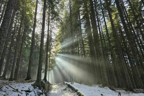 Narava pozimi potrebuje mir