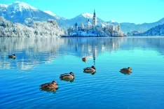   / Foto: Nik Bertoncelj