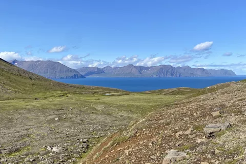 Sončno, brez oblaka in brez ljudi / Foto: Rok Logar